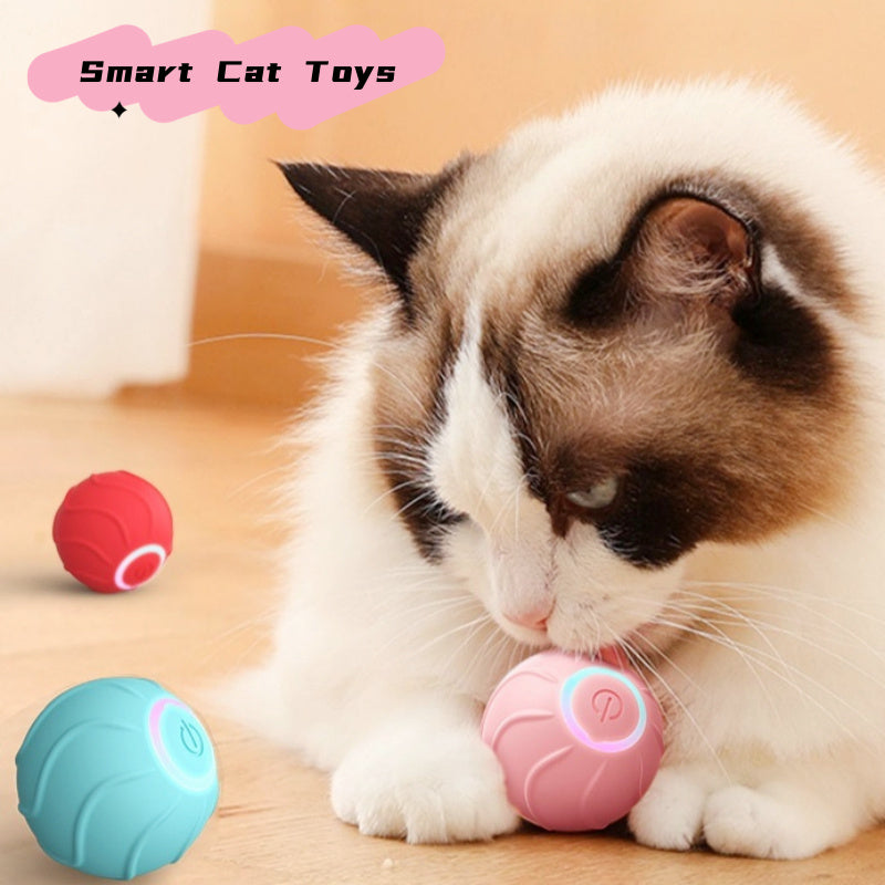 Smart Cat Toys Rolling Ball Pet Cat Owner Interactive Pets Toys