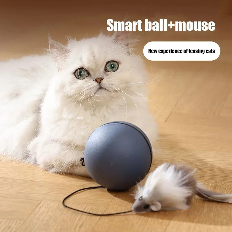 Cat Toys Mouse Teaser Ball Funny Moving Toy