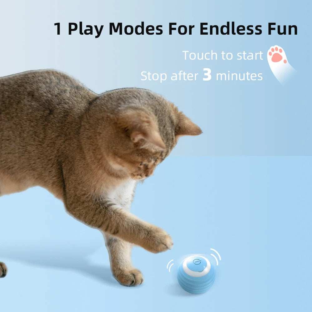 Cat Interactive Ball Smart Cat Dog Toys