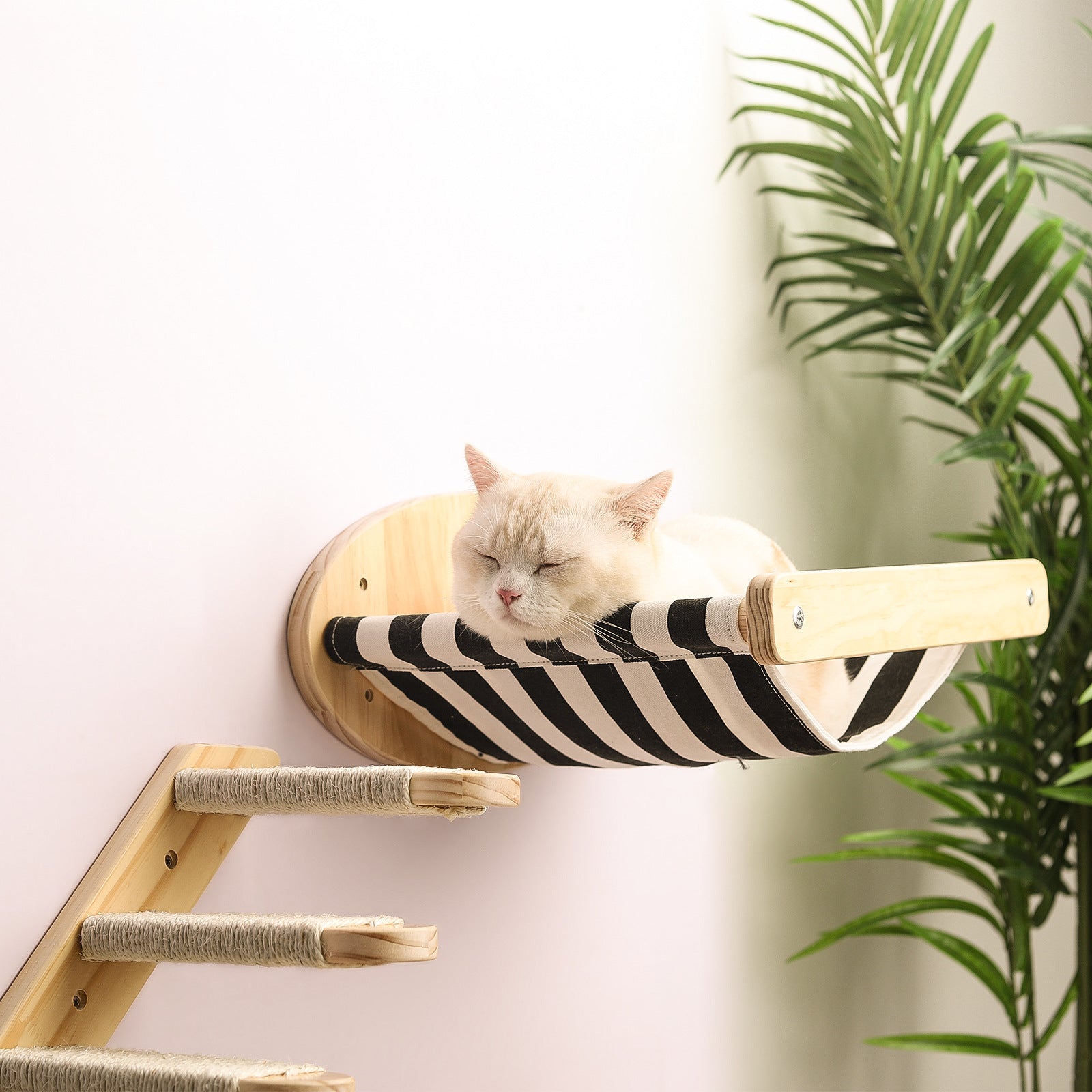 Pine Wood Cat Climbing Frame Cat Wall